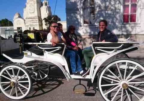 Kutschenfahrt am Wiener Zentralfriedhof