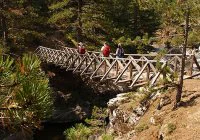 lärche-brücke Lärchenholz Brücke