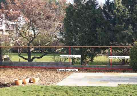 Foto mit Detailinformation