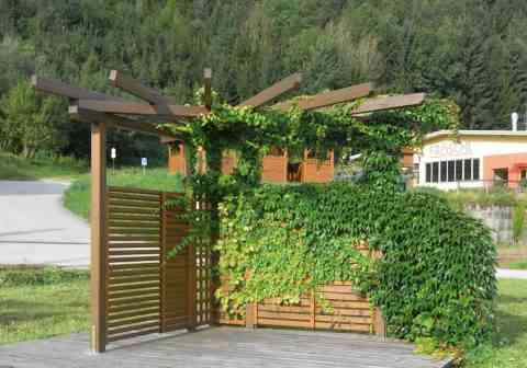 Lärchenholzzaun als Rankhilfe