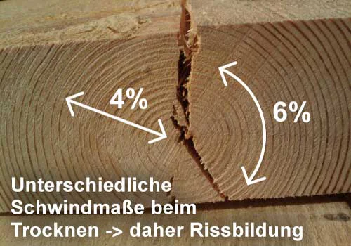 Kernfreies oder kerngetrenntes Lärchenholz