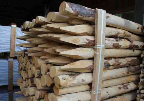 Rundsteher gespitzt aus Kastanienholz