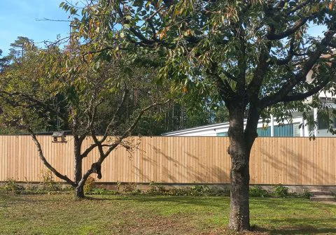 Sichtschutzwand Nut-Feder Ausführung