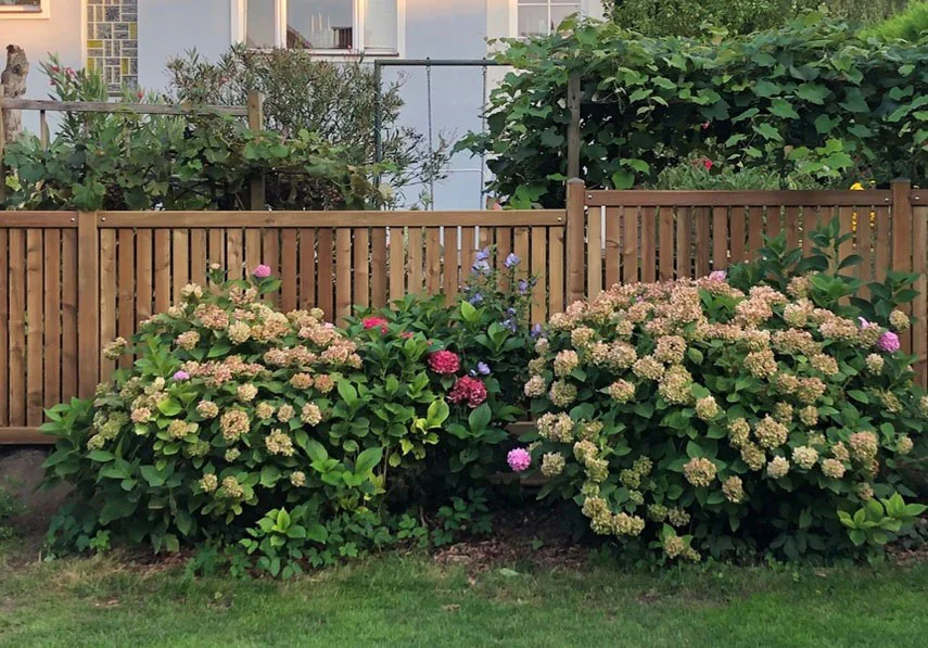 Sichtschutz Sandwich mit Brettabstand 20 mm