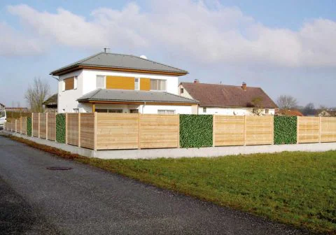 Sichtschutz mit Rankpflanzen