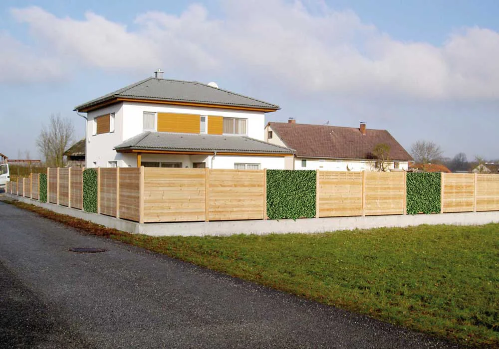 Sichtschutz mit Rankpflanzen