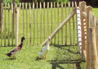 Staketenzaun mit Eckabstützung