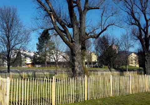aketenzaun im öffentlichen Park