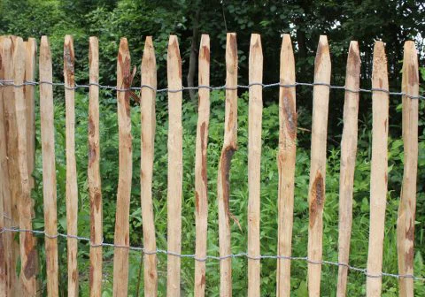 Staketenzaun - Eco-Qualität