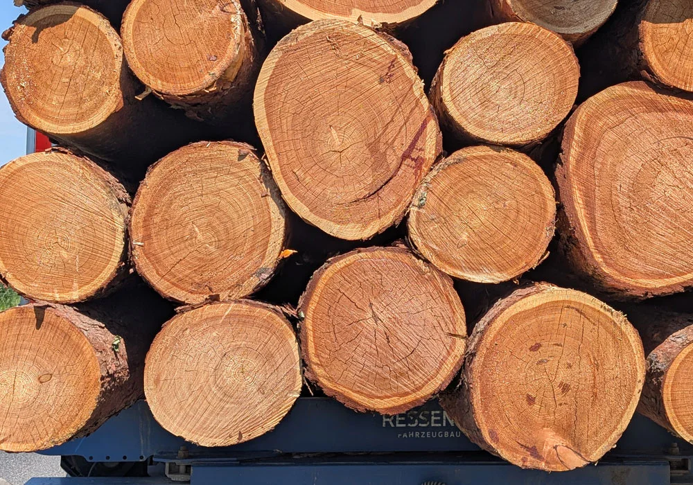 vorteile-lärchenstämme Lärchenholzstämme